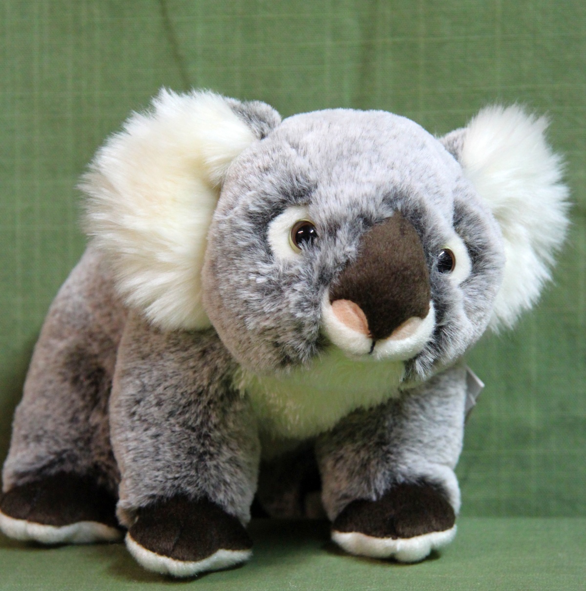 Hermann Koala