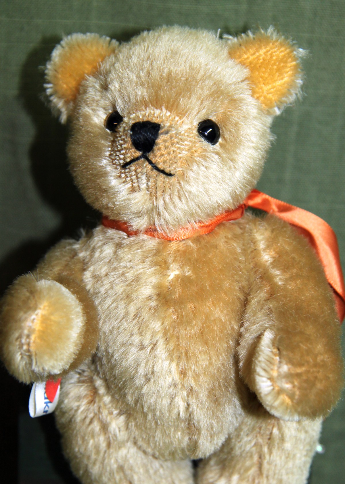 Mini Teddy von Schildkröt