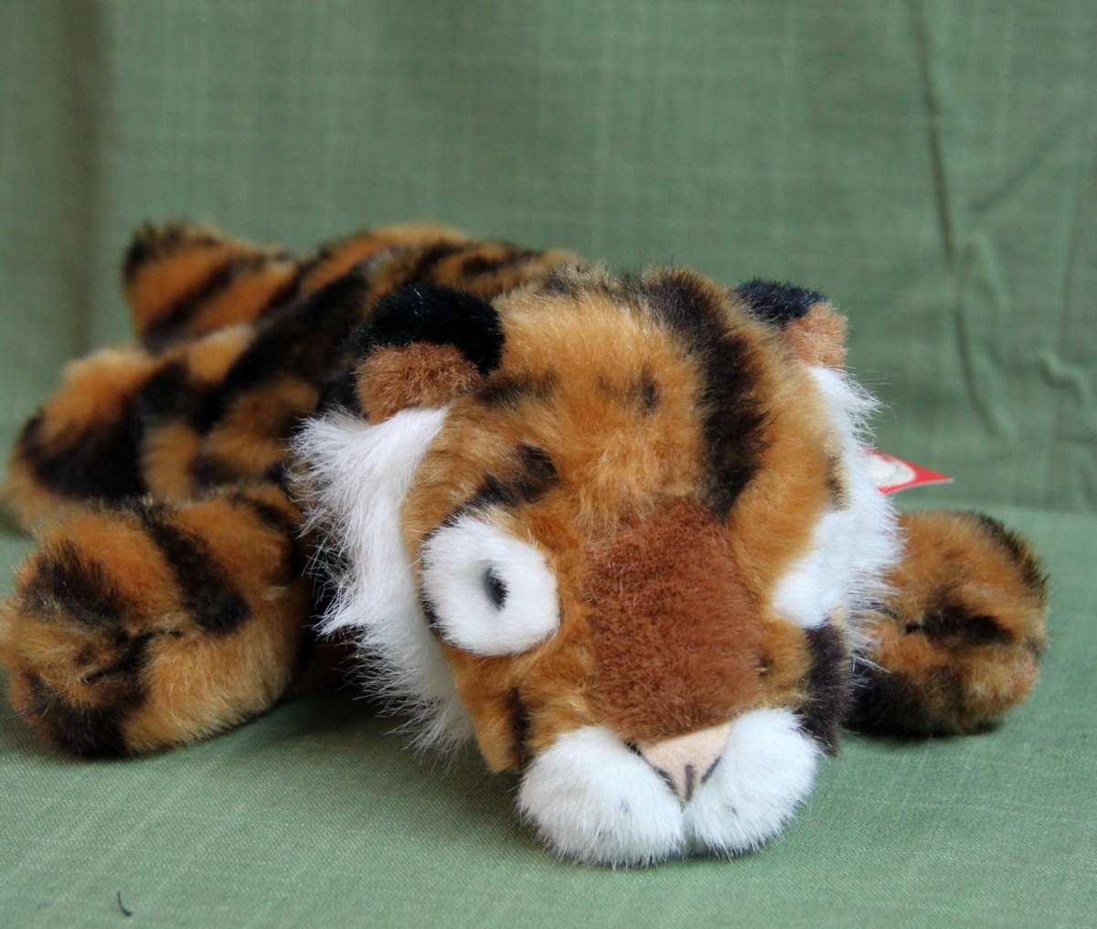 Tiger Teddy-Hermann Hirscheid